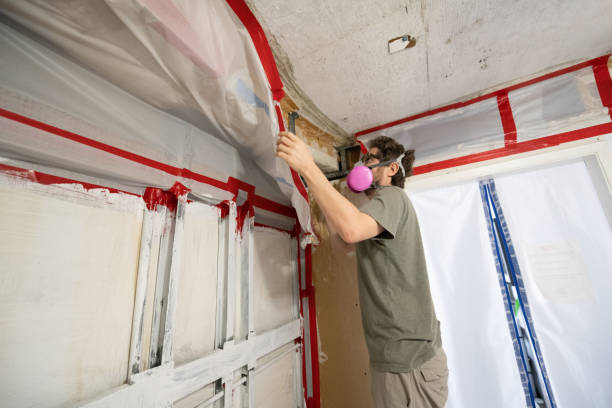 Best Water Damage & Mold Remediation  in Glendale, CA