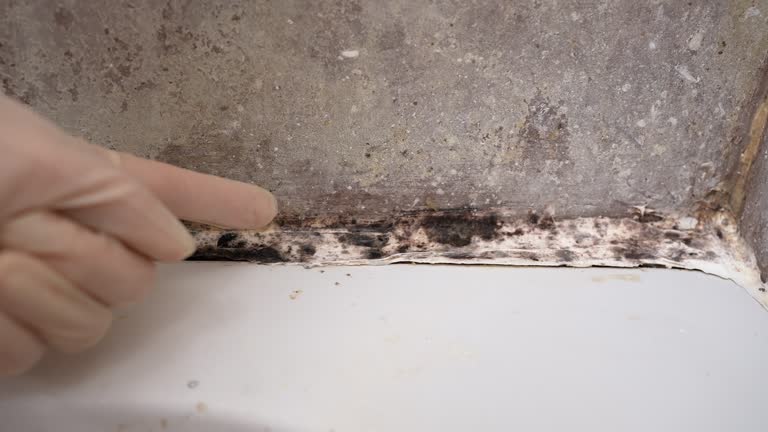 Best Residential Mold Inspection & Testing  in Glendale, CA
